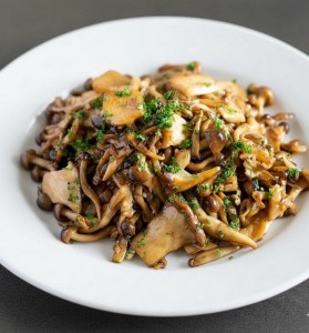 o0953102415743765562